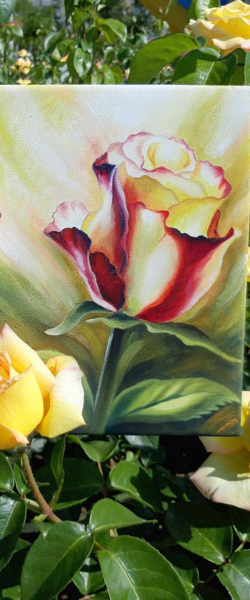 Rose flowers painting, floral wall art, small gift for woman by Anna Steshenko