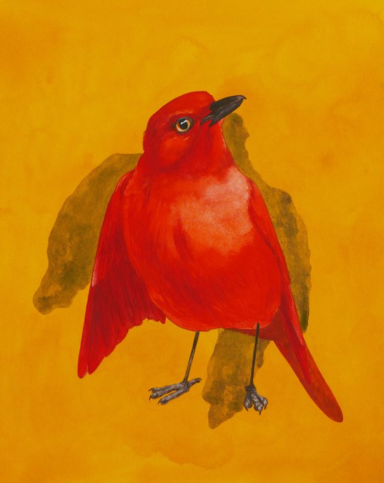 Red Blackbird