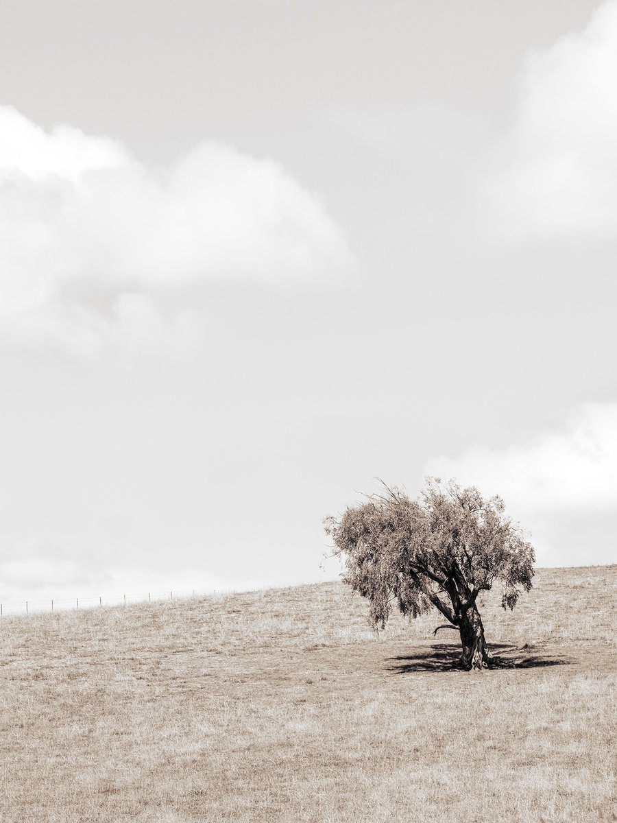 Photorealistic Landscape Photograph By Nick Psomiadis, 35 X 47", Whispers Of The Horizon, Original Artwork