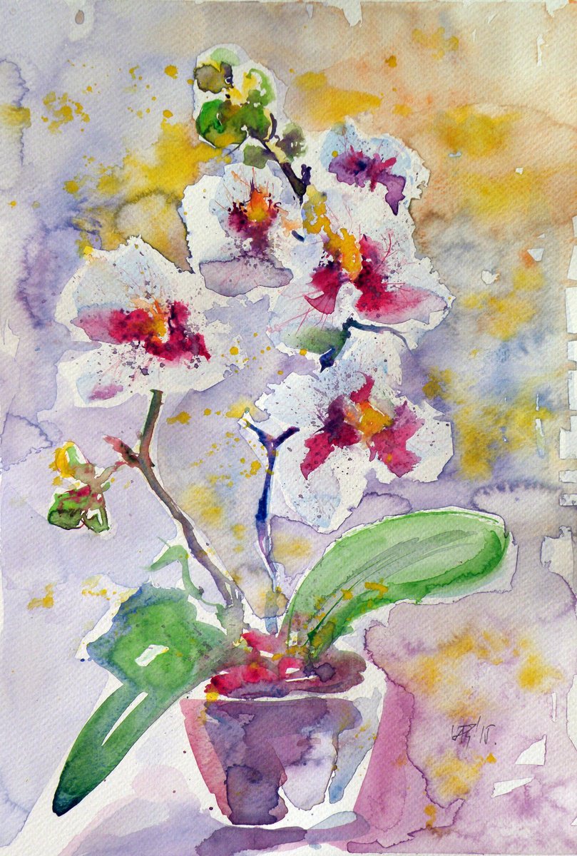 Orchidea by Kovacs Anna Brigitta