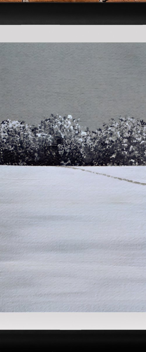 A Path in the Snow by Jan Rippingham