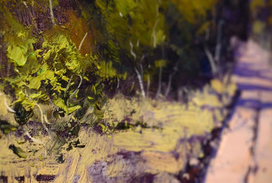 Road Through the Capertee Valley NSW