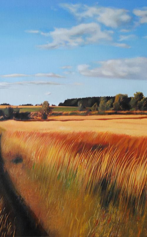 Wheatfield by Valeri Tsvetkov