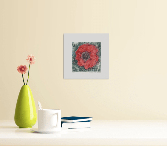 Poppy