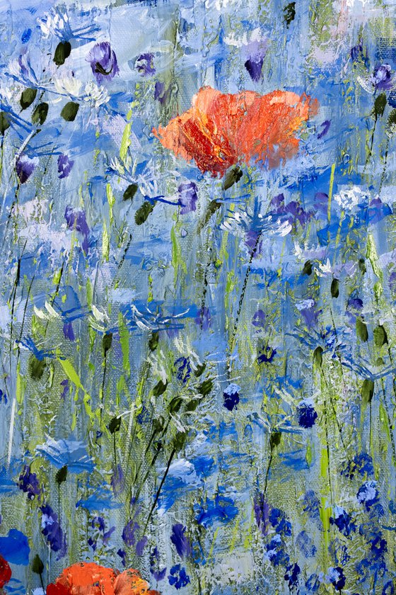 A blooming field. Cornflowers and poppies.