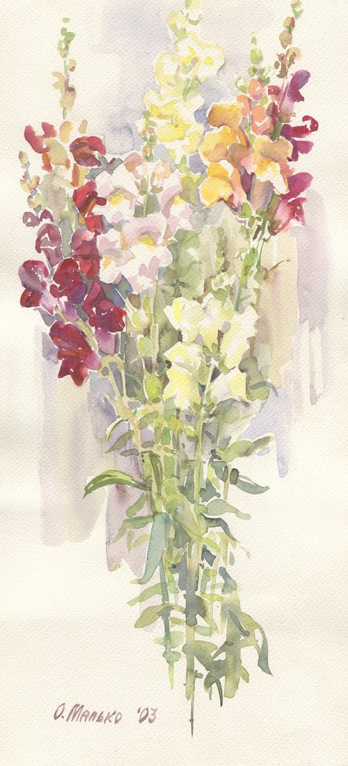 Snapdragons / ORIGINAL watercolor painting ~7,5x16,5in (19x41,5cm) by Olha Malko
