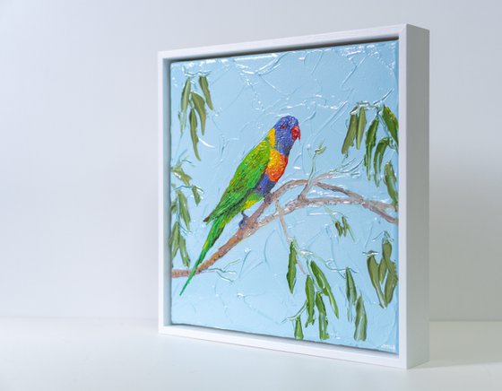 Rainbow Lorikeet