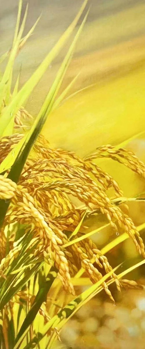 Realism rice oil painting:harvest t207 by Kunlong Wang