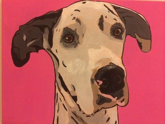 IN MEMORY OF COTTON THE GREAT DANE