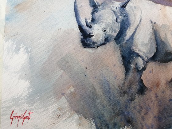 rhinos 4