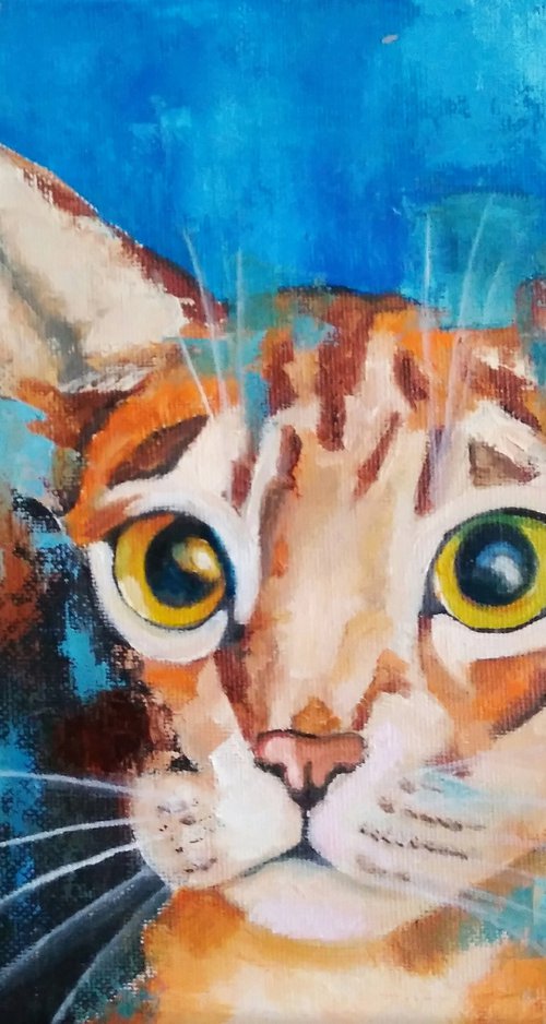 Cat in the blue light by Yulia Berseneva