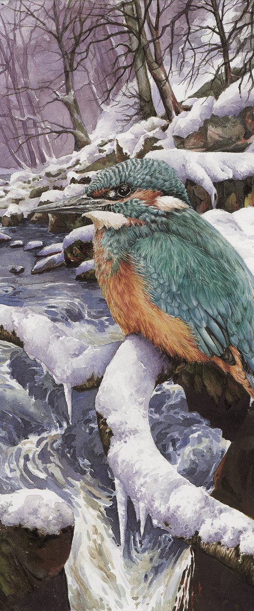 Kingfisher by Zoe Elizabeth Norman