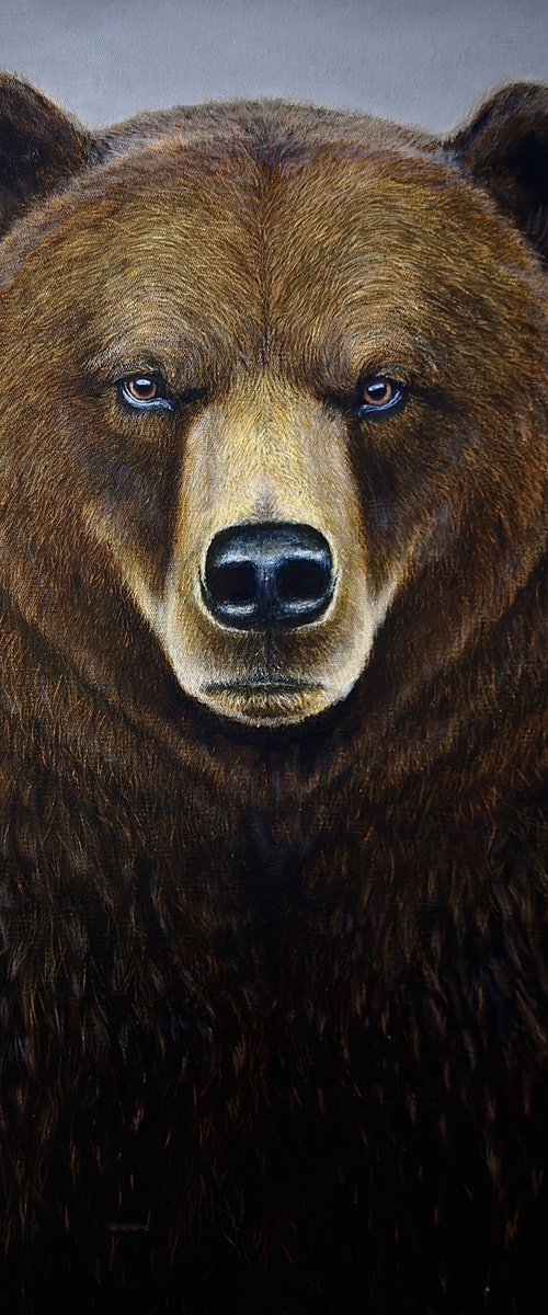 Grizzly Bear by Elena Adele Dmitrenko