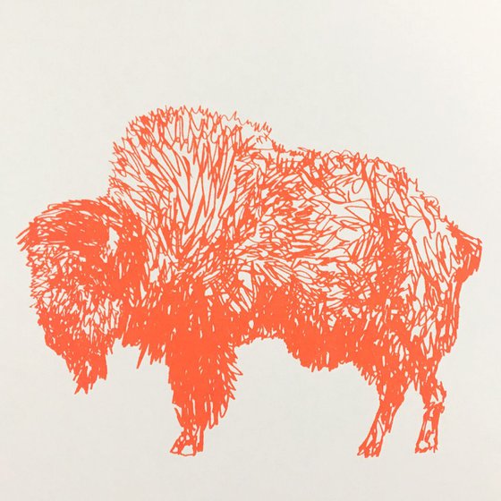 Squiggly Bison