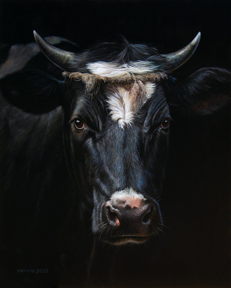 Photorealistic Oil Painting , Black Beauty By Mayrig Simonjan, 16 X 20, Artwork For Sale On Artfinder