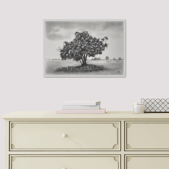 English Oak