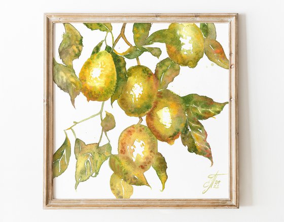 Watercolor Fruit Branches set