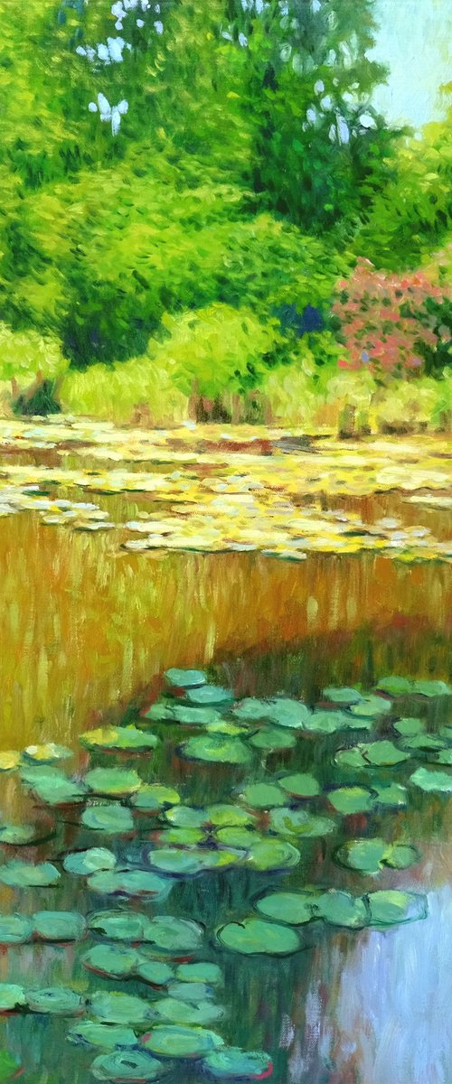 Water pond in Giverny Garden by Richard Mierniczak