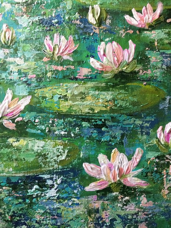 Waterlilies in the Rain