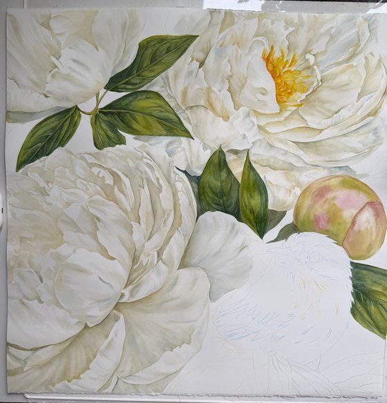 Among White Peonies