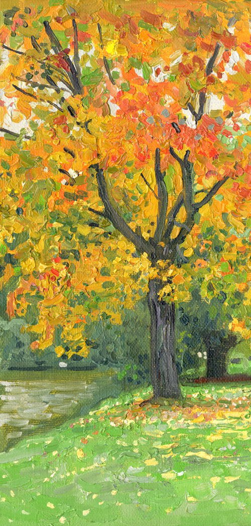 Autumn maple by the pond by Simon Kozhin
