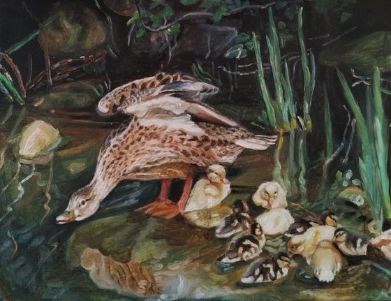 Duck family