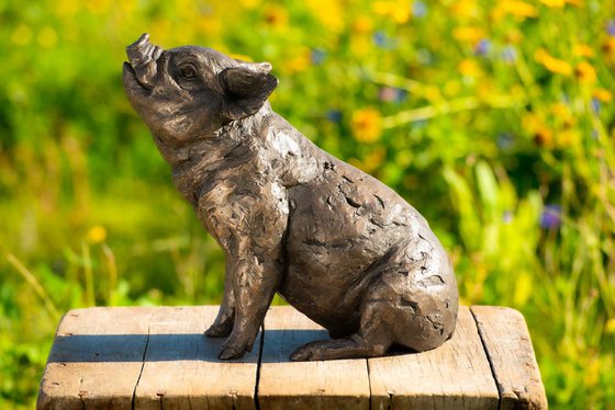 Sitting Piglet BR