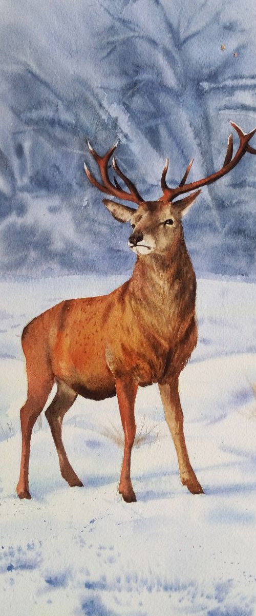 Winter Deer Stag by Olga Beliaeva Watercolour