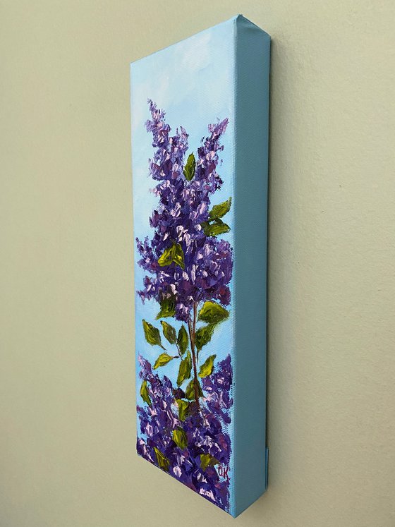 Spring lilac