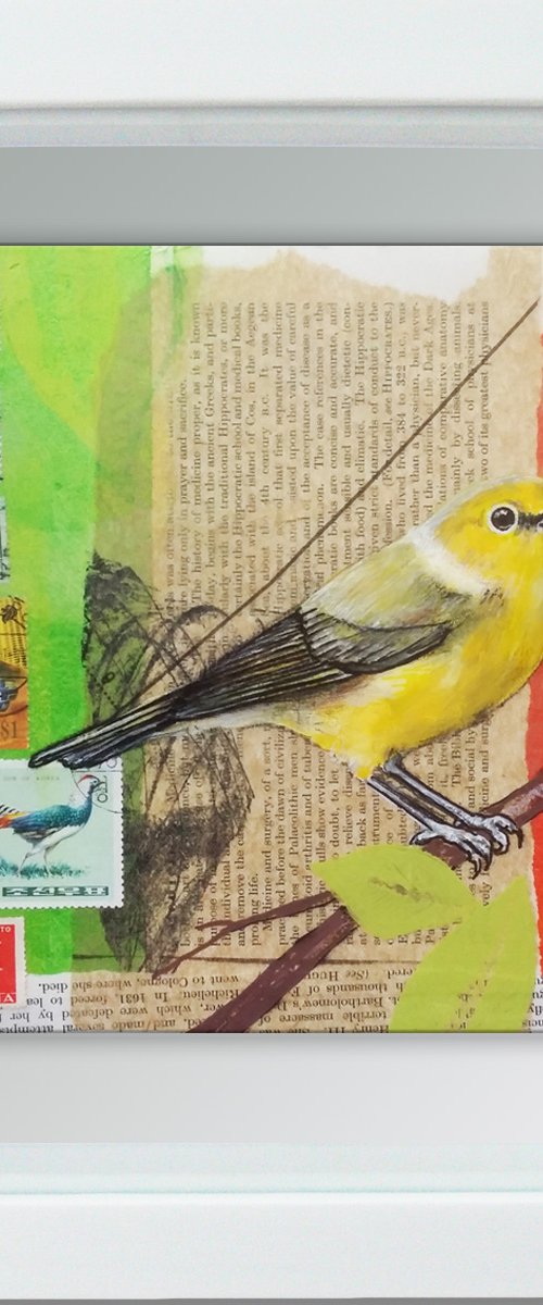 Yellow warbler - Ornithology #6 - Framed ready to hang original painting by Carolynne Coulson