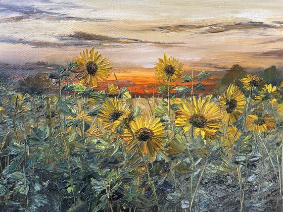 Sunflowers by Sunset