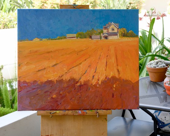 Farmland in Midwest, Evening