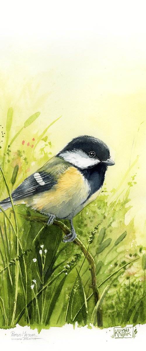Great Tit with green may grass by Karolina Kijak