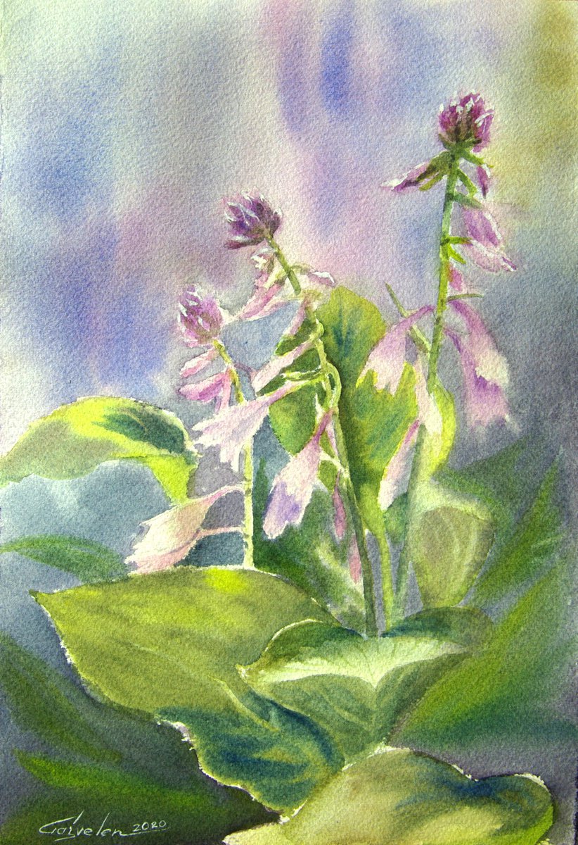 Lilac hosta by Elena Gaivoronskaia