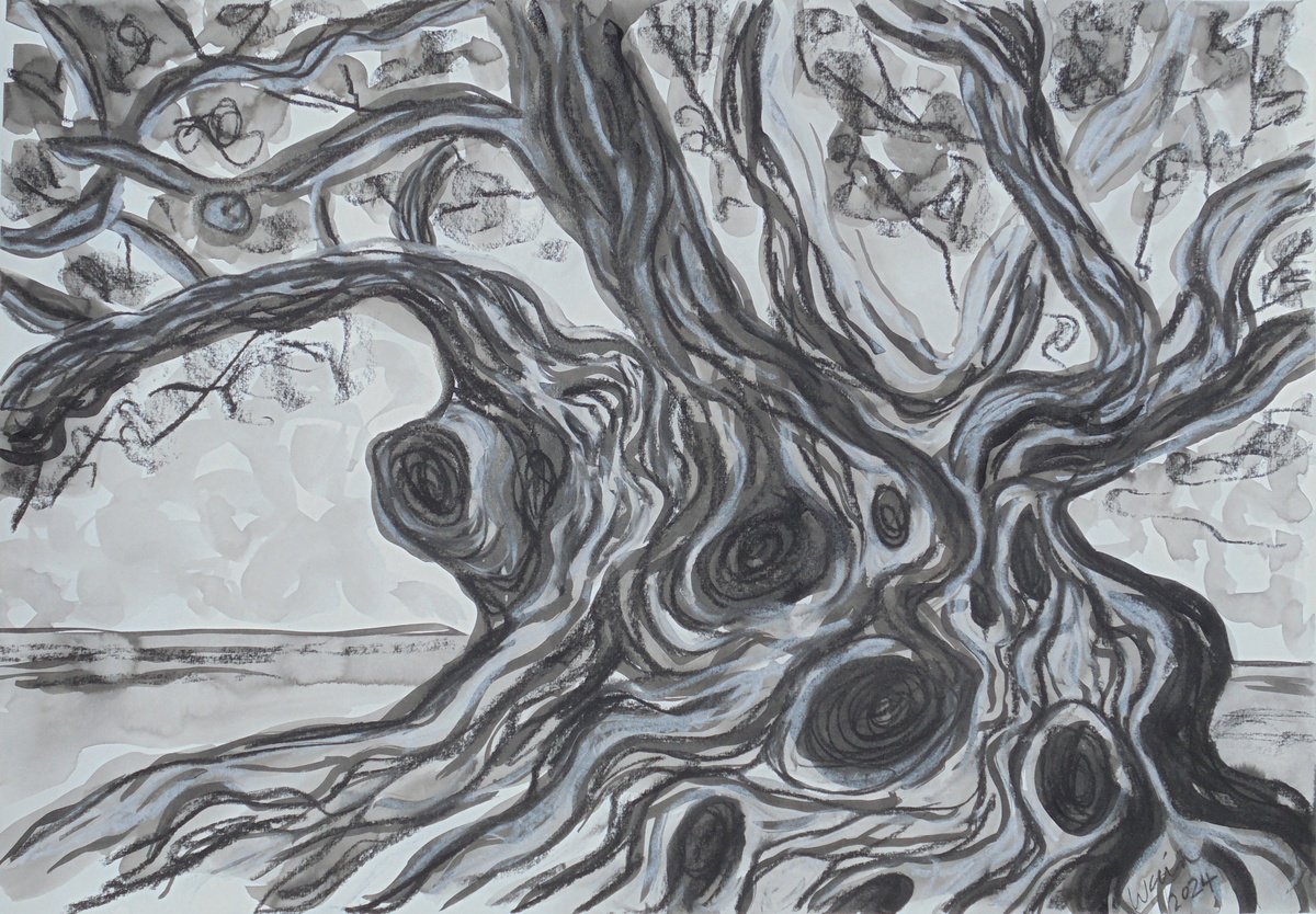 Olive Tree of Antiquity by Kirsty Wain