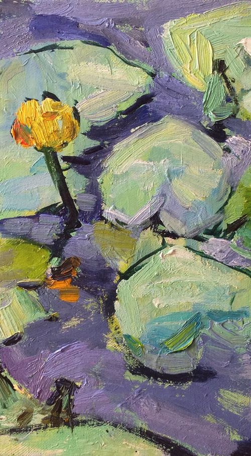 Rainy day. Water lily.  Pond  light oil painting  river original oil painting by Nataliia Nosyk