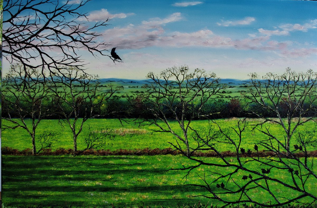 Impressionistic Landscape Oil Painting By Hazel Thomson, 36 X 24, Shadows Across Cheshire, Original Artwork