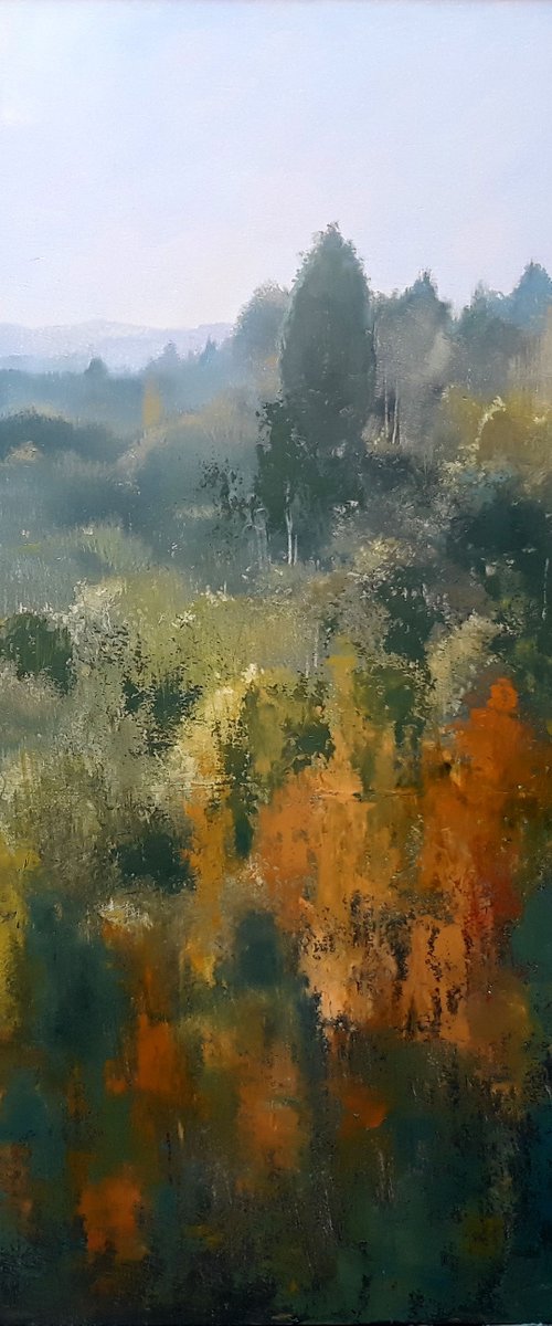 FALL COLORS. by Rafael Carrascal