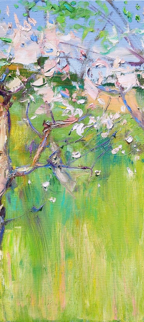 Apple tree blossoms by Helen Shukina