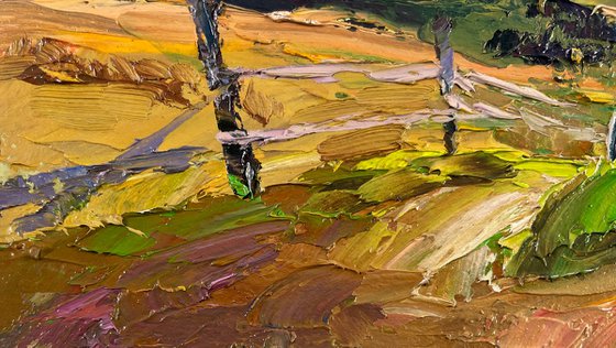 Where the Forest Touches the Mountains