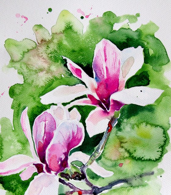 Beautiful magnolia