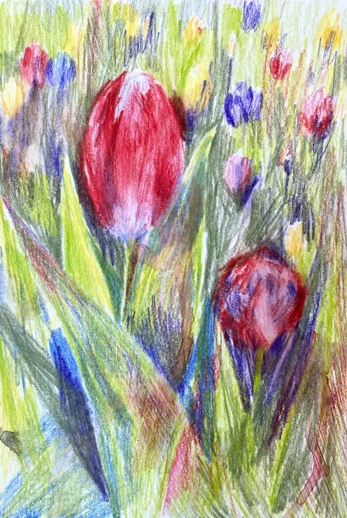 Tulips - pencil drawing by Anna Boginskaia