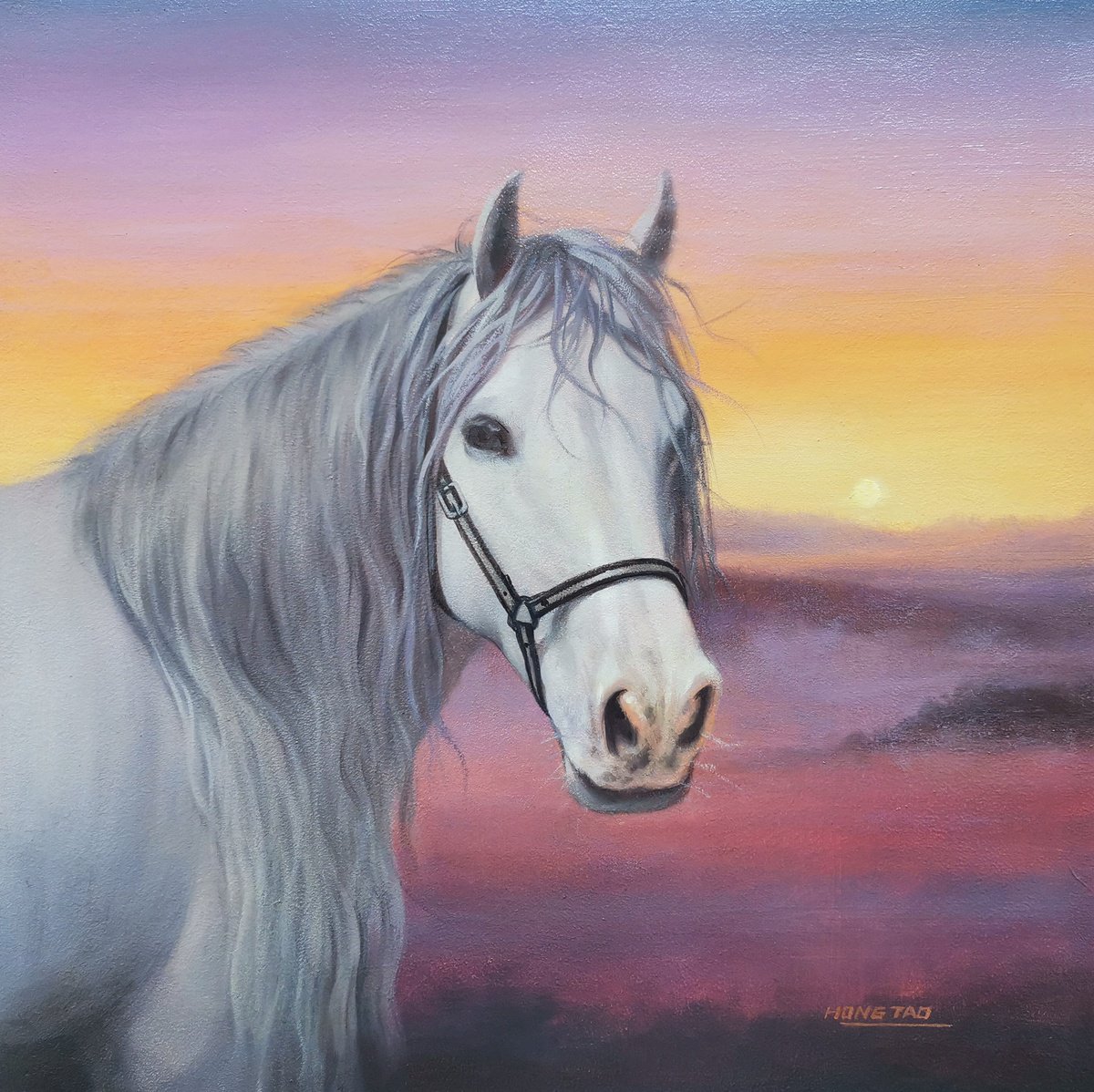Photorealistic Animal Oil Painting By Hongtao Huang, 12 X 12, Light Of The Early Morning Sun, Original Artwork