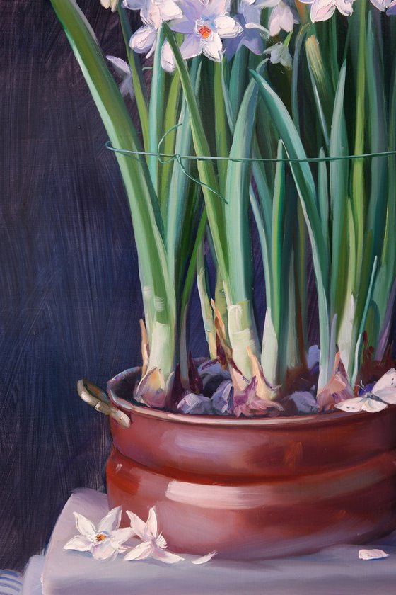 "Still life with white daffodils"