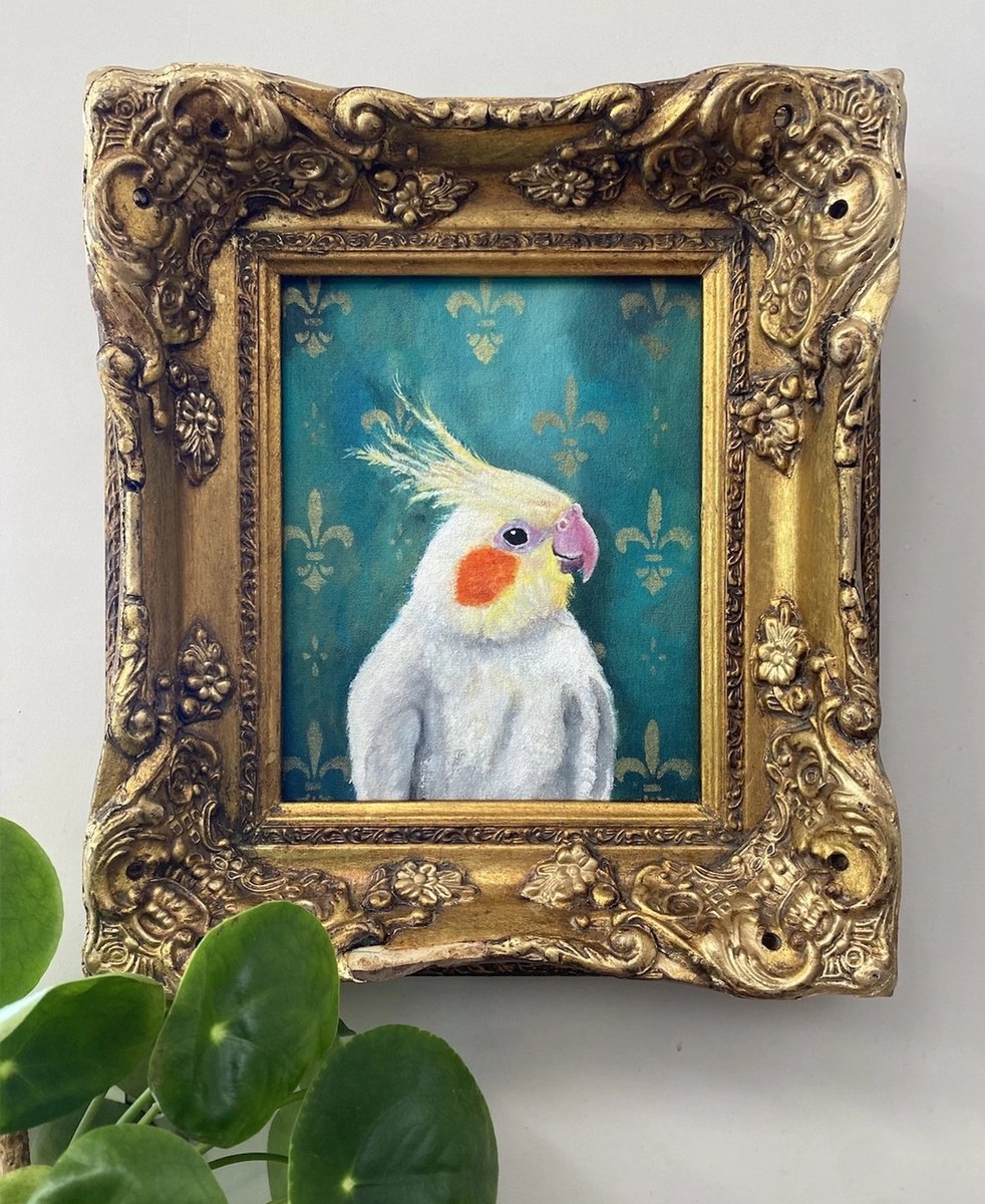 Expressive Animal Painting By Charlotte Gerrard, 13 X 15, Ernie The Cockatiel, Original Artwork