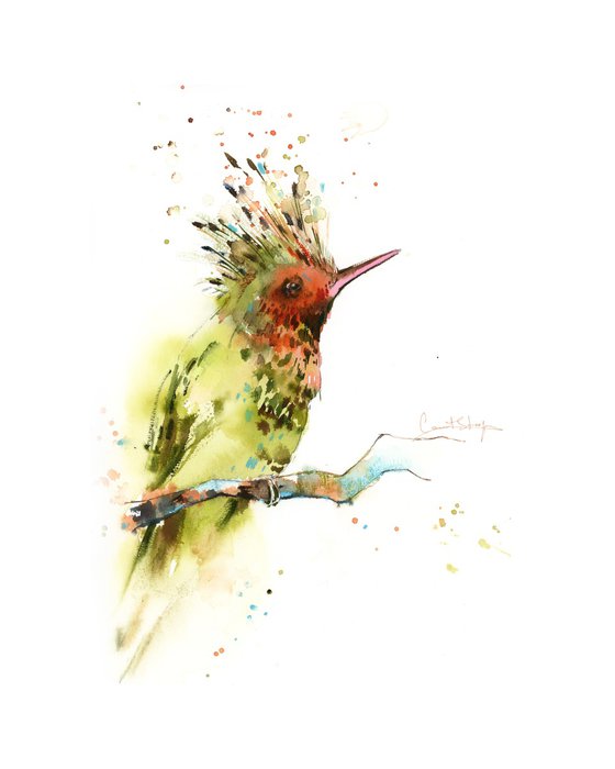 Hummingbird