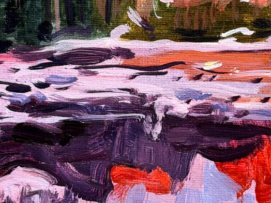 Crimson Reflections