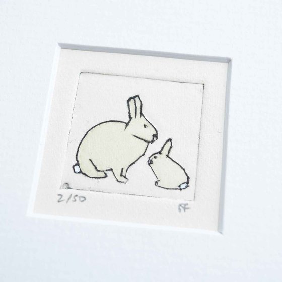 Mini framed wild rabbit with young