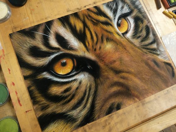 Tiger's Gaze Original Big cat Painting)