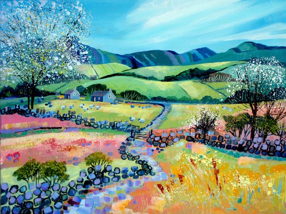 Quiet Valley in the Yorkshire Dales